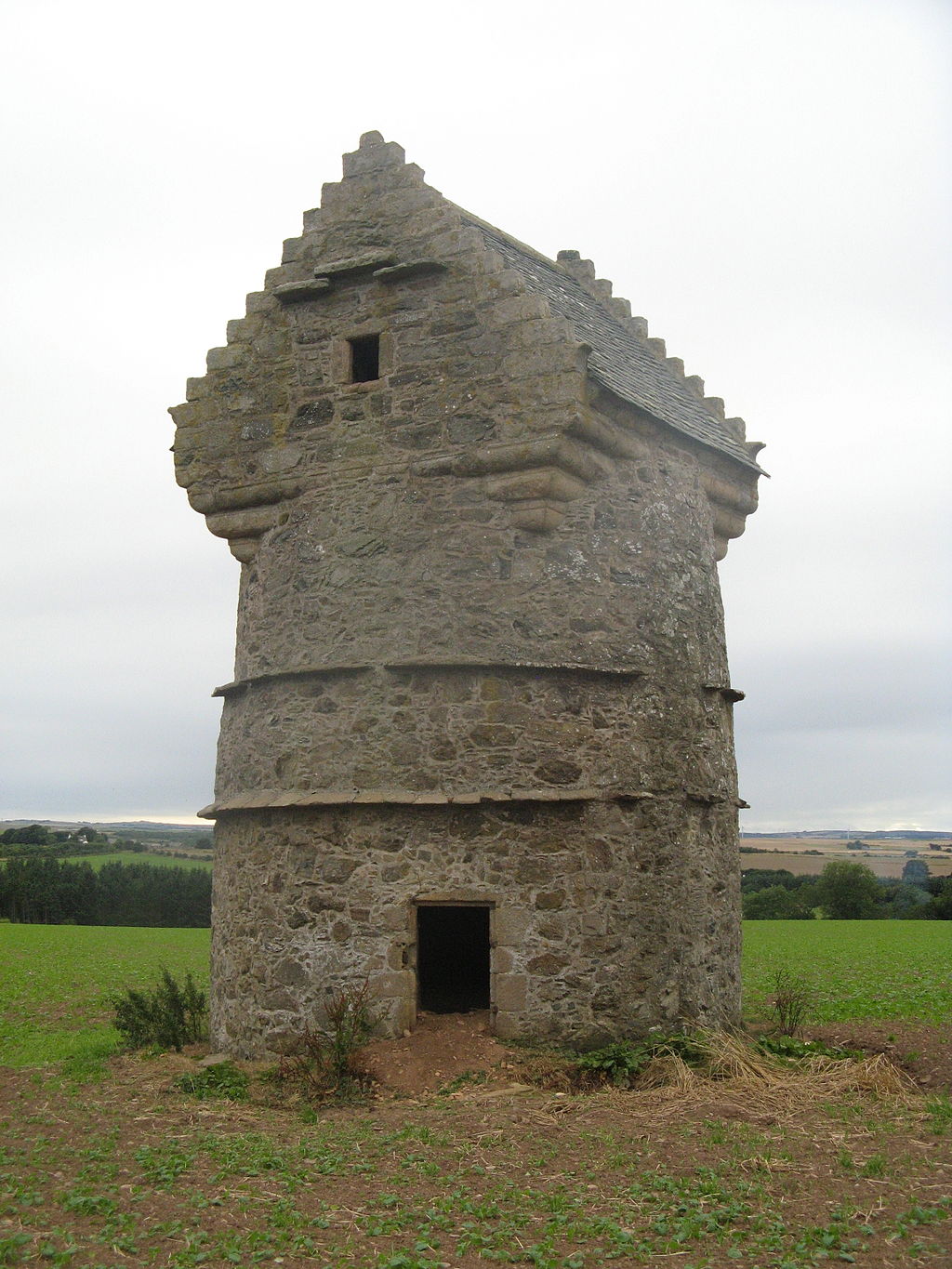 Taxa Shirt 14: Dove Houses