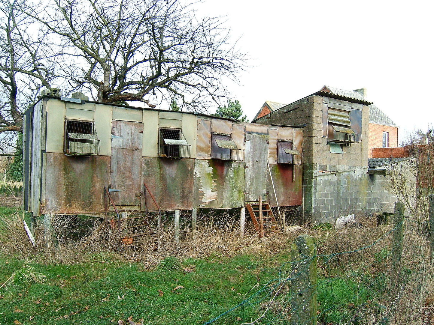 Taxa Shirt 14: Dove Houses