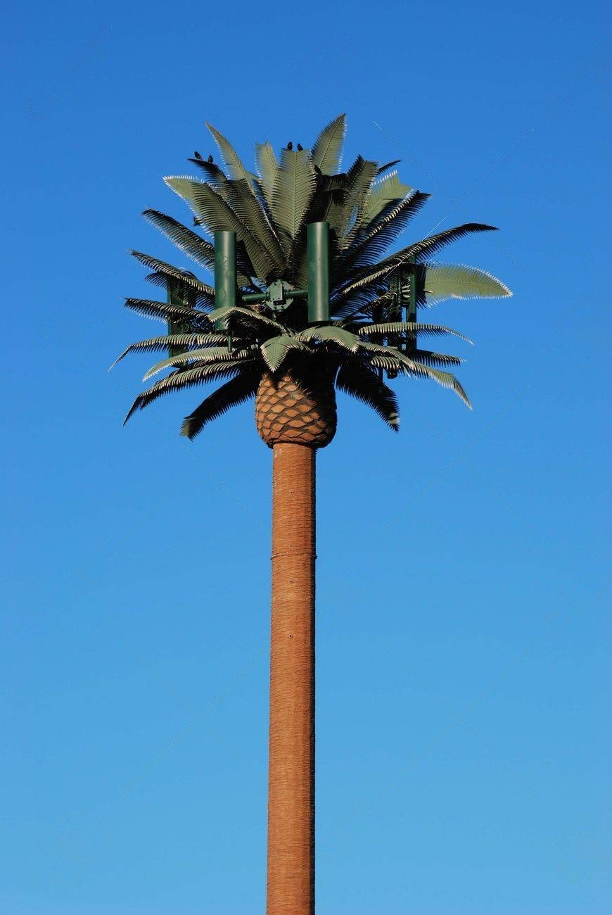 Taxa Shirt 17: Chimeras (Canary)