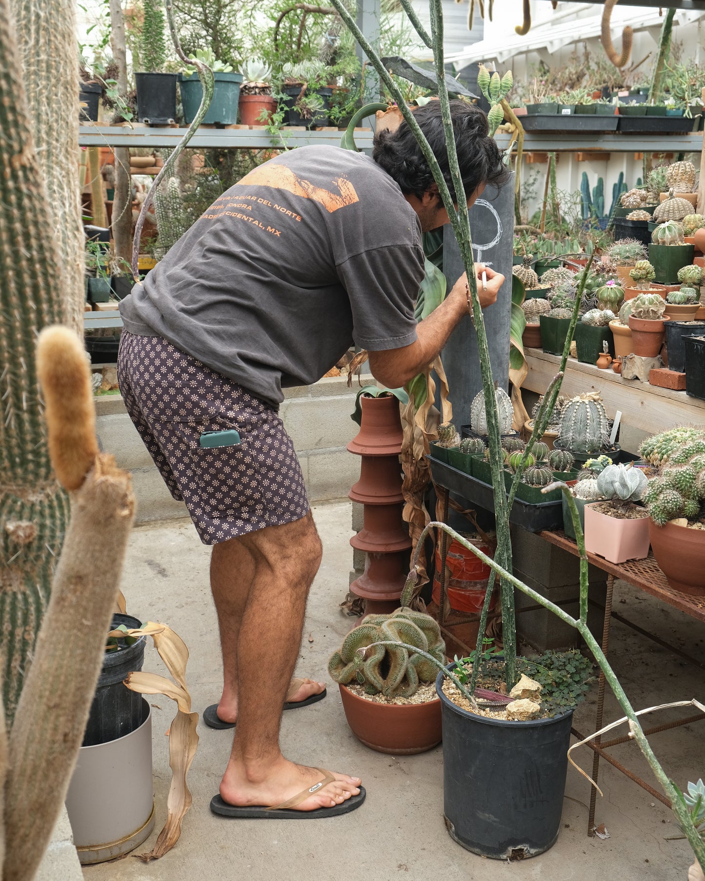 Earthstar Fungus Work Shorts