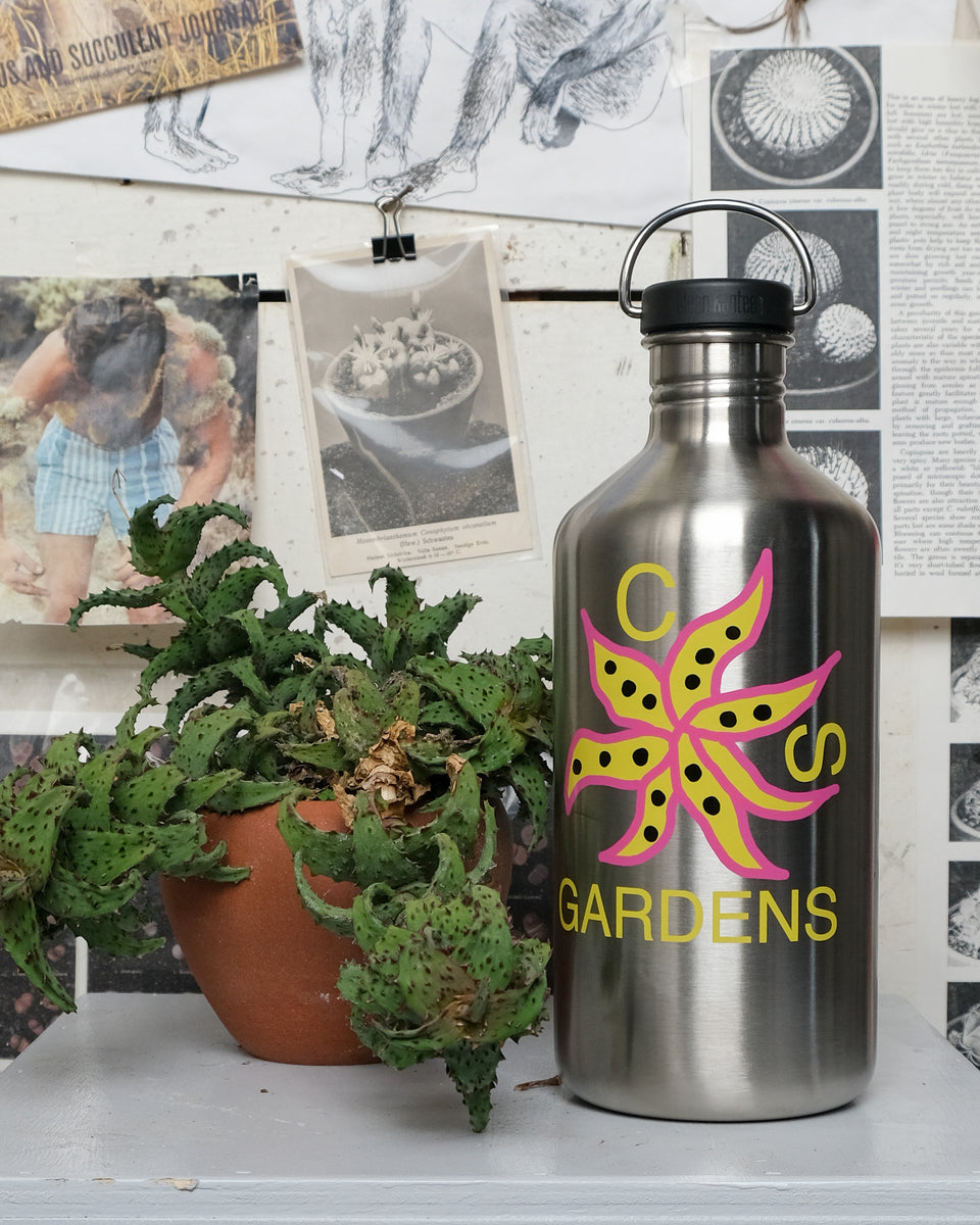 succulent water bottle Water Vessel 1: CS Gardens – Cactaceae Storeiencius