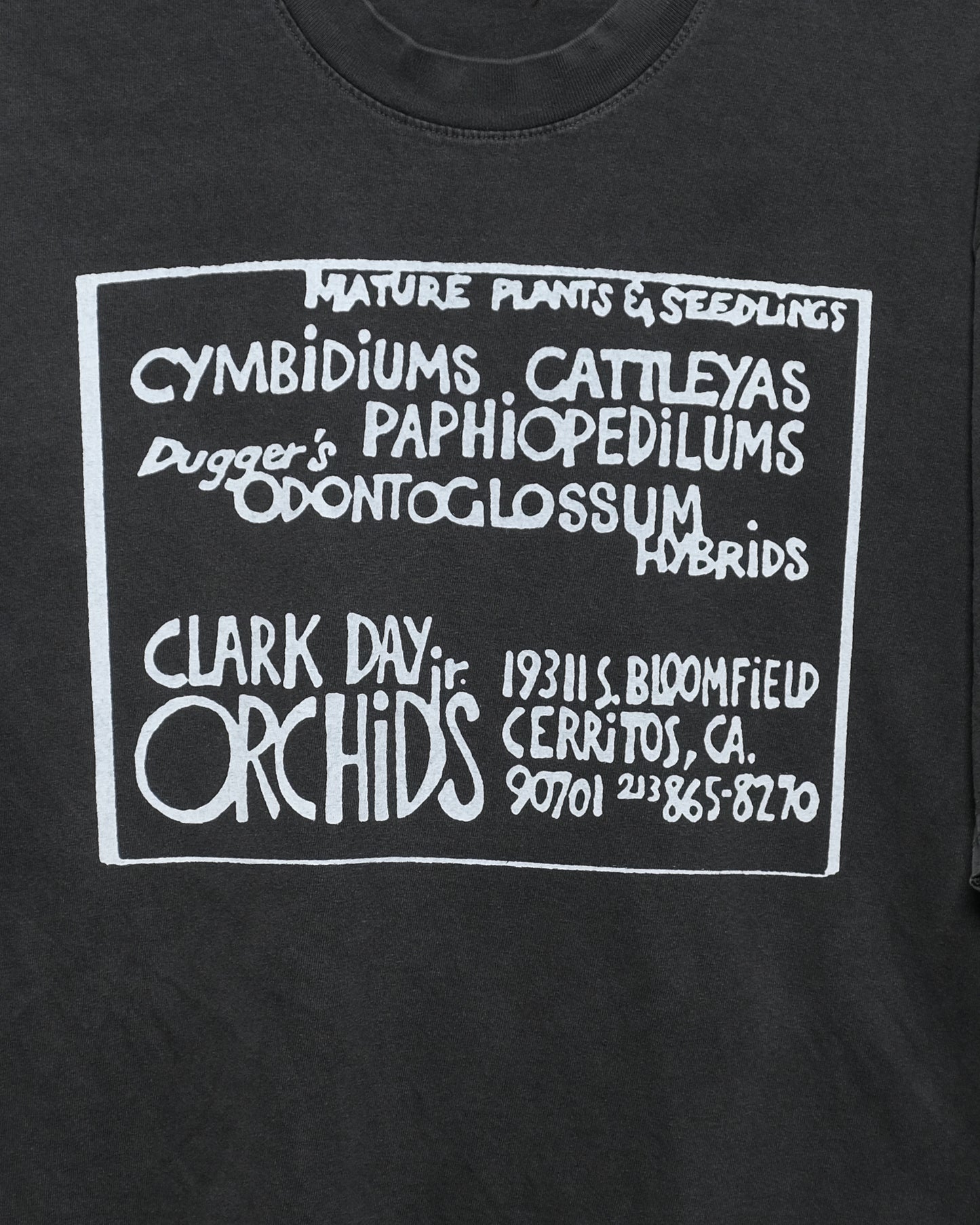 Seconds Shirts: Dugger's Odontoglossum Hybrids