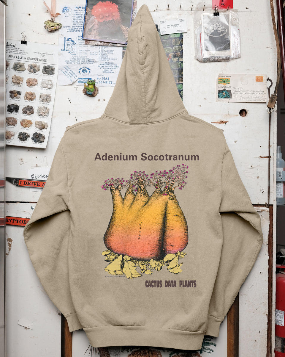 cactus plant hoodie Adenium Socotranum Hoodie- Union Osaka – Cactaceae Storeiencius