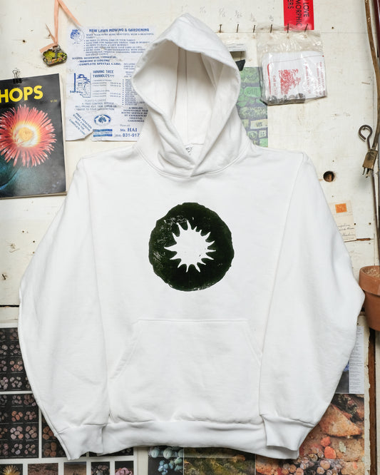 Field Ecology ‘24 Sweatshirt