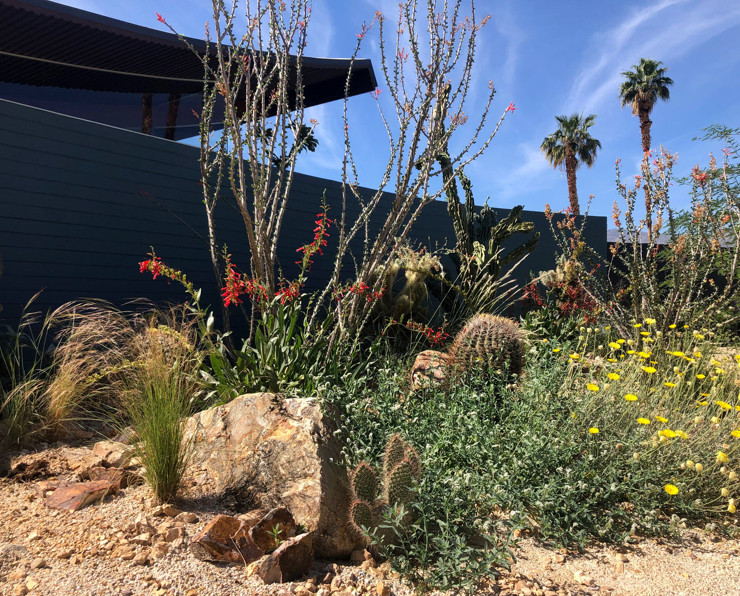 The Desert Wave House