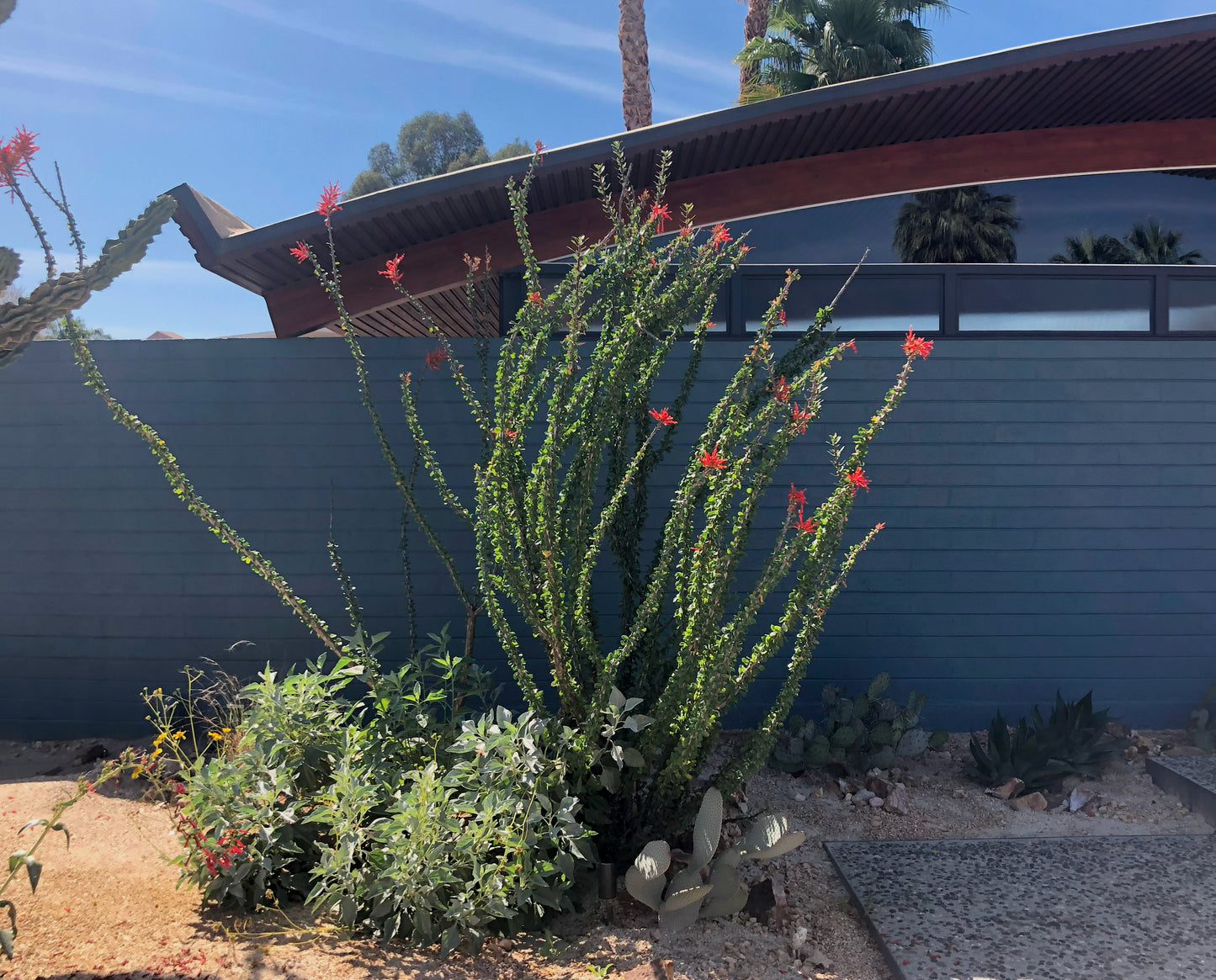 The Desert Wave House