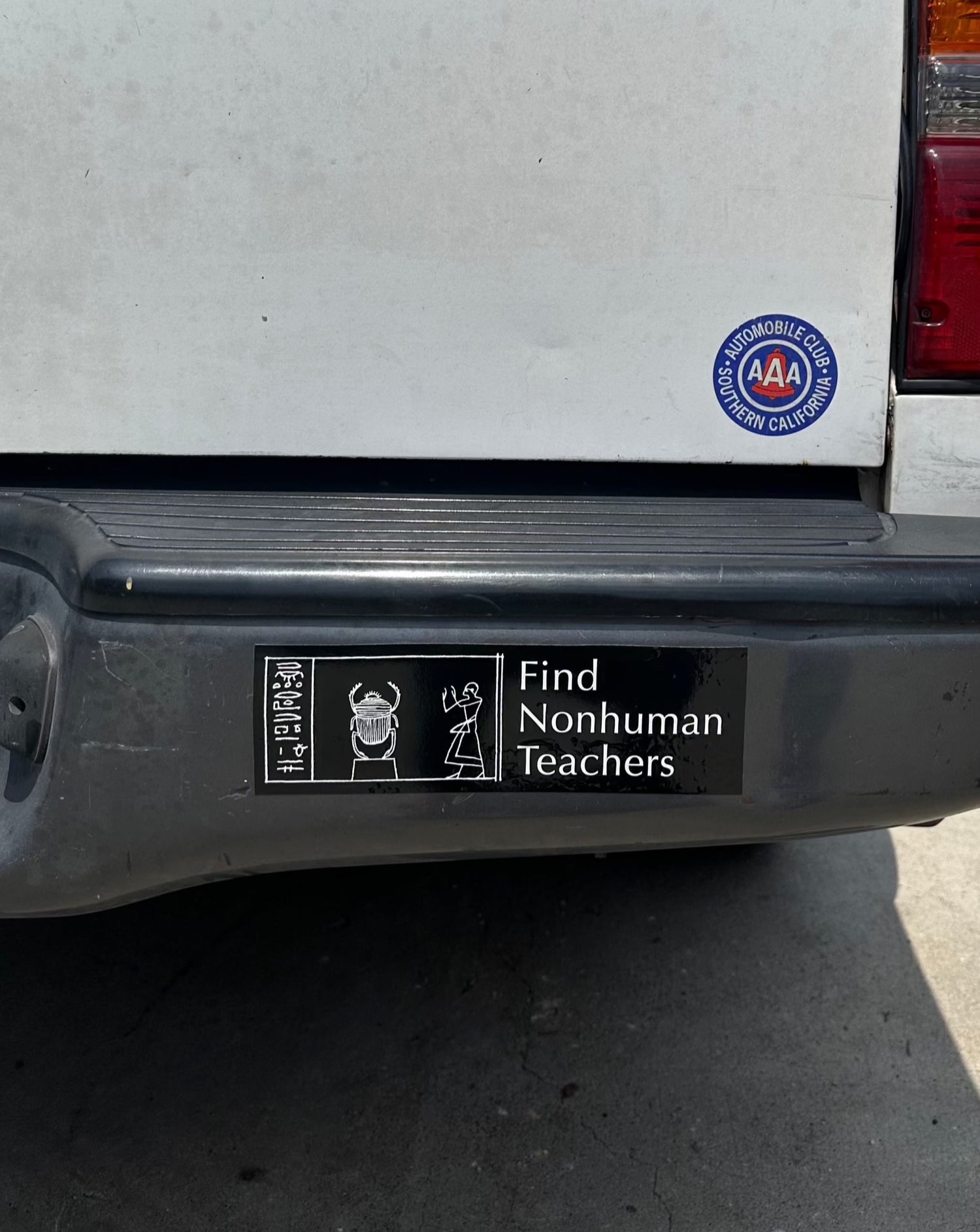 Find Nonhuman Teachers Bumper Sticker