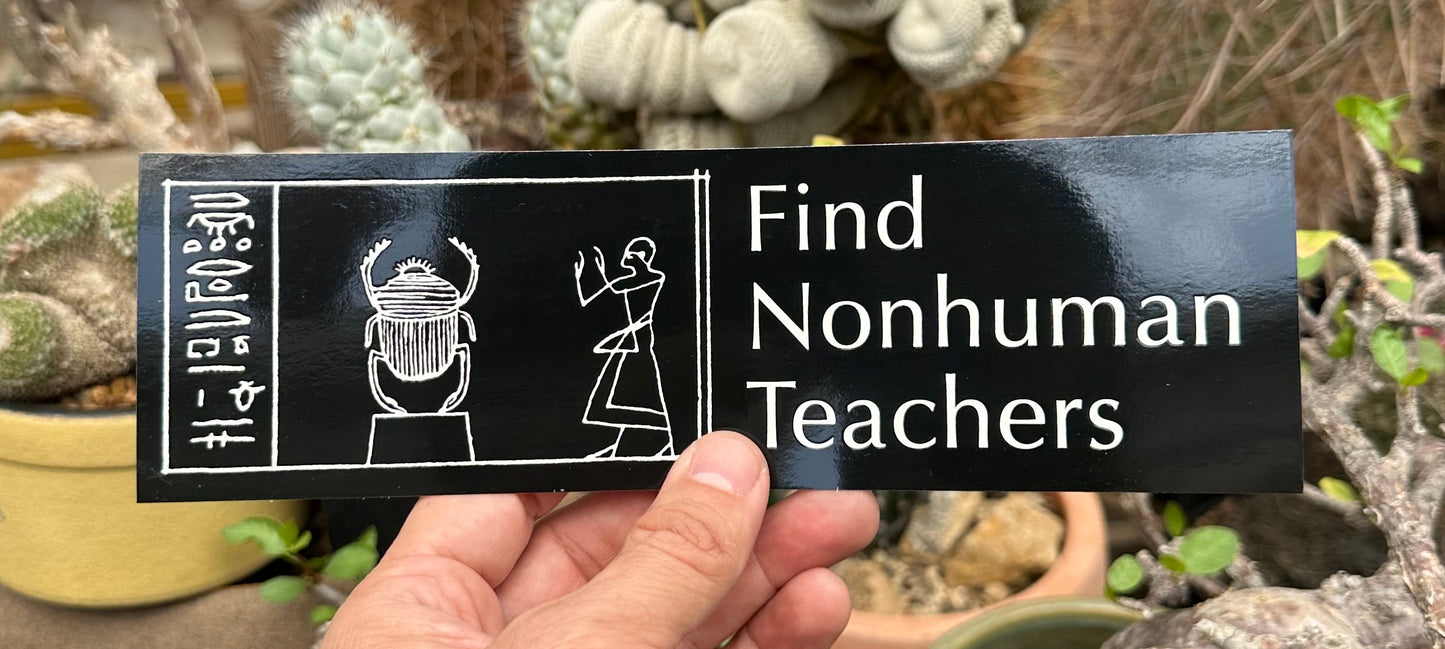 Find Nonhuman Teachers Bumper Sticker