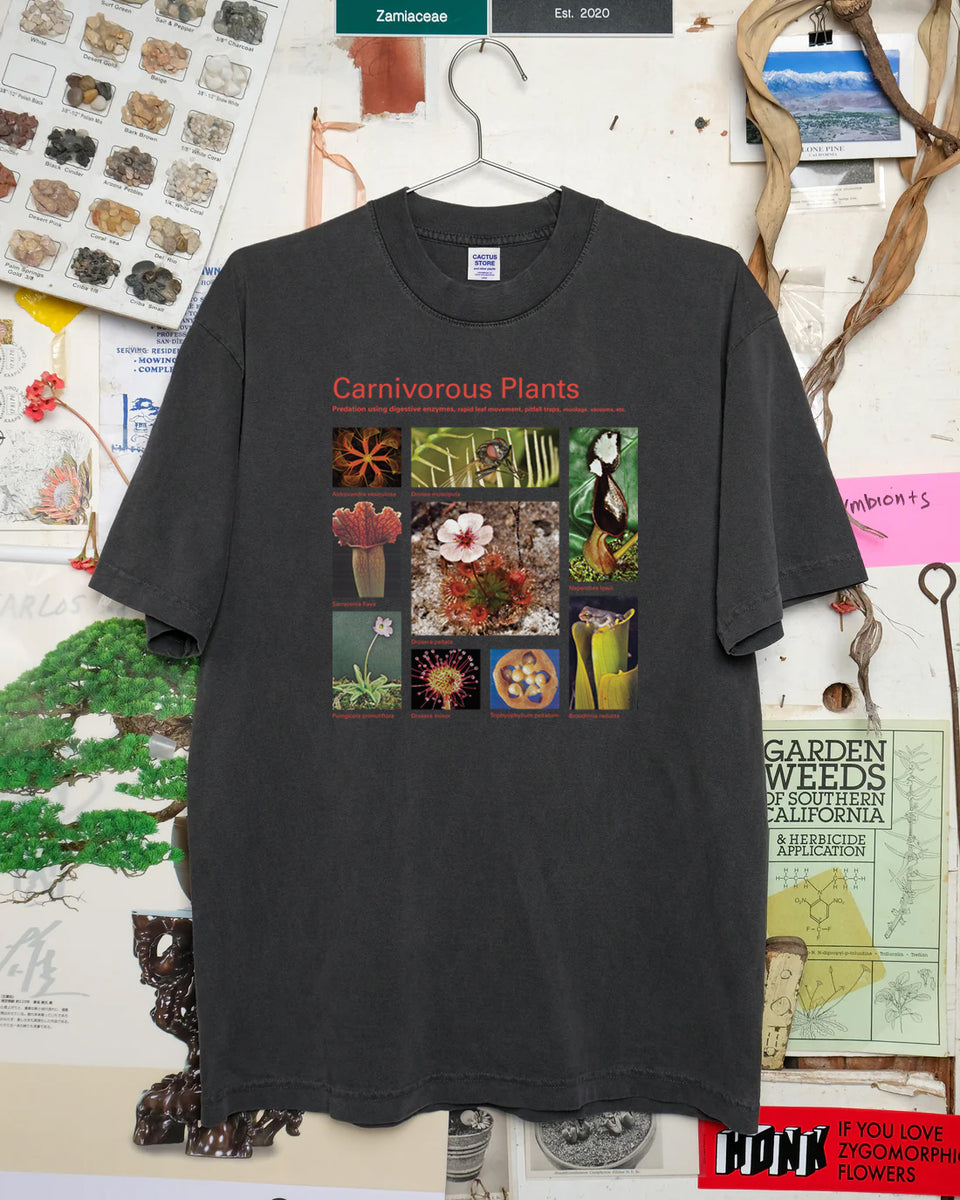 Taxa Shirt 16: Carnivorous Plants (Black) – Cactaceae Storeiencius