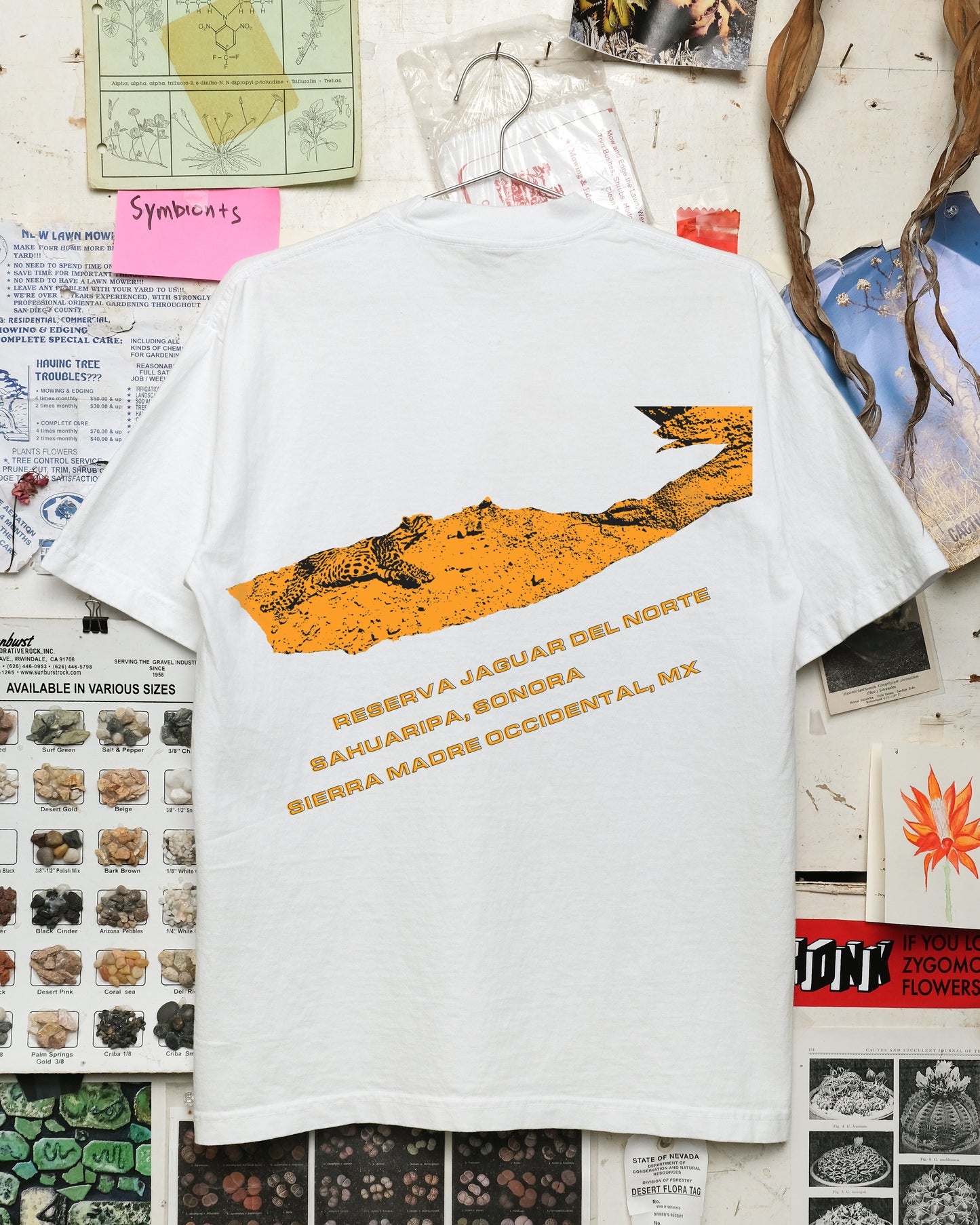 Northern Jaguar Project (White)