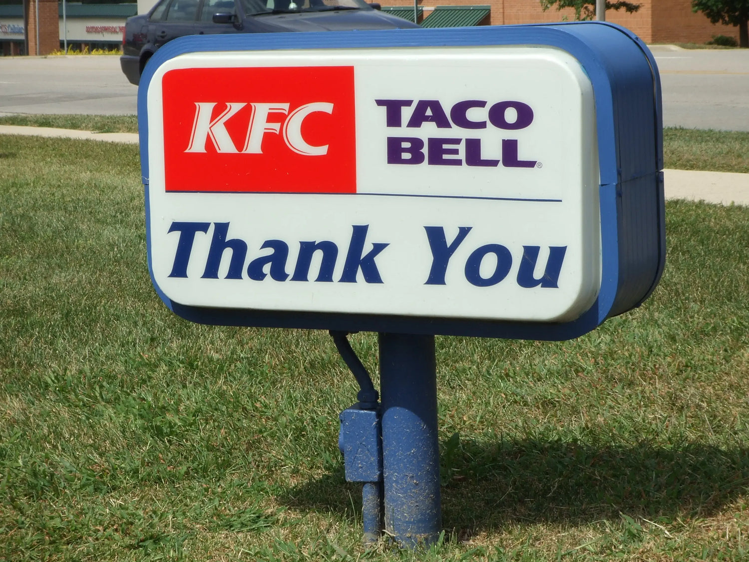 Taxa Shirt 17: Chimeras (Canary)