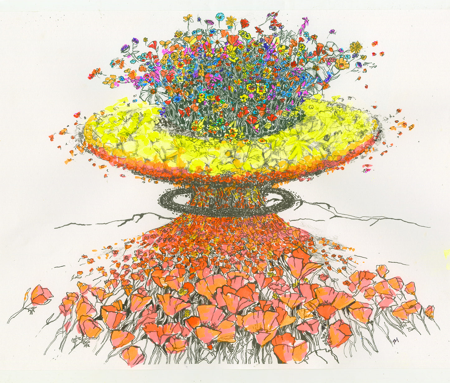 Superbloom 2023 💚 Theodore Payne Foundation (KIDS!!)
