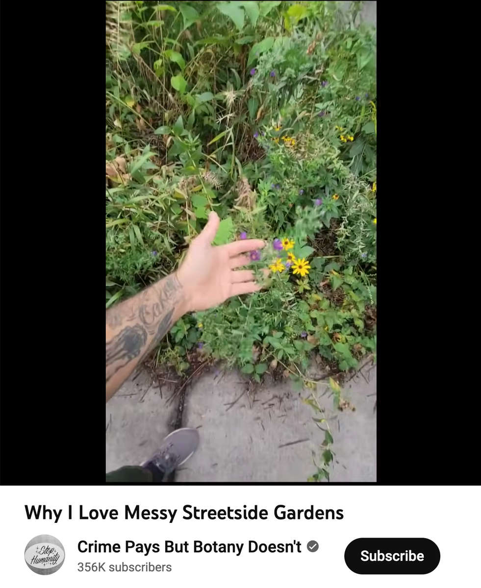 Kill Your Lawn (Crime Pays Botany Doesn't) Shirt Cactaceae Storeiencius