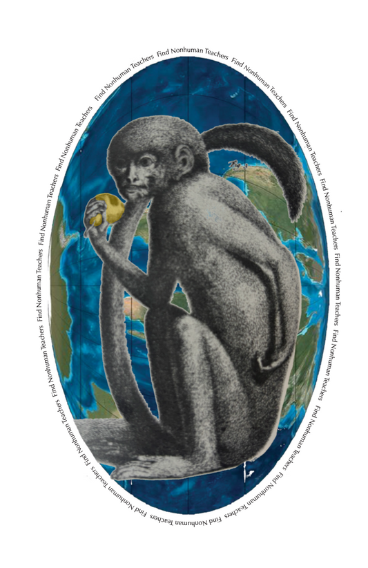 Find Nonhuman Teachers 5: Second Cousins (Black)