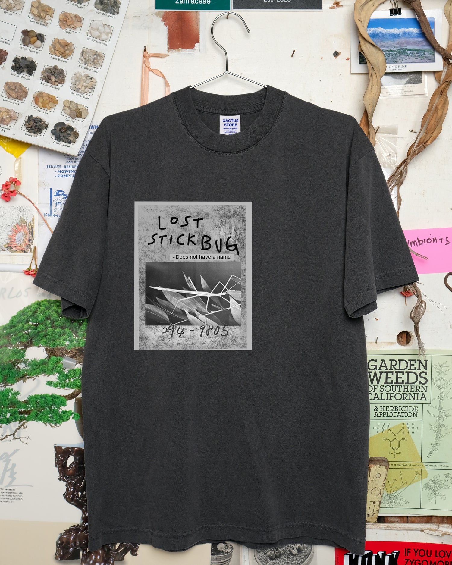 Lost Stick Bug (Black)