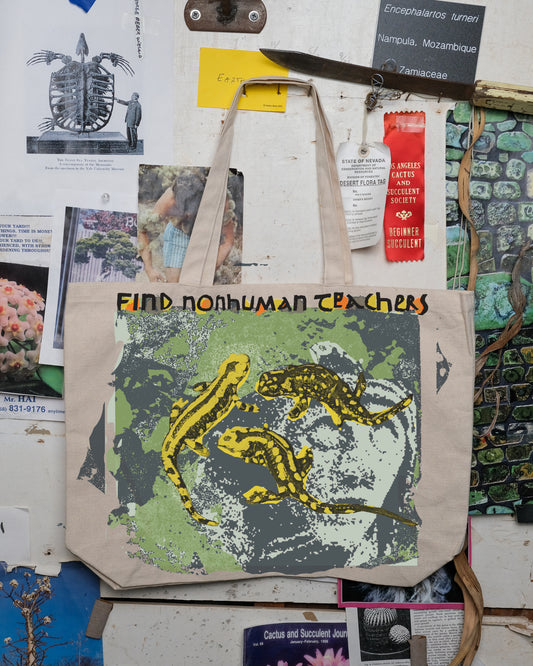 Find Nonhuman Teachers: Salamanders Tote