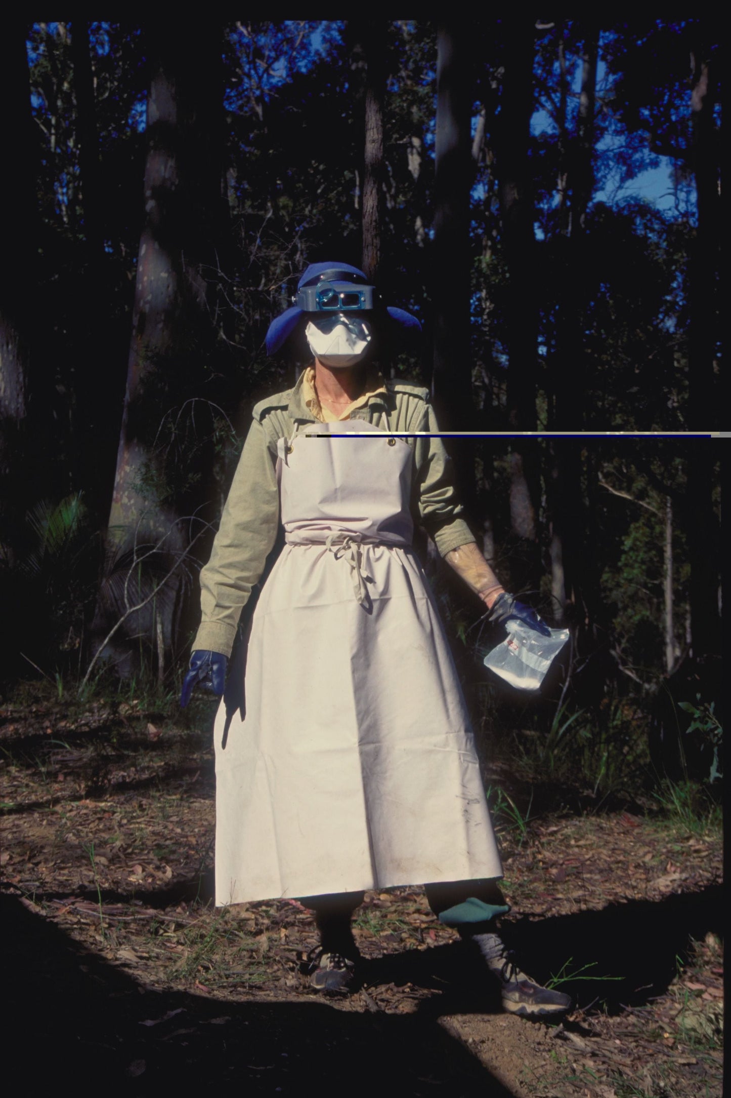 Dr. Irene Terry, cycad biologist who coined the term "Hot Stinky Sex."