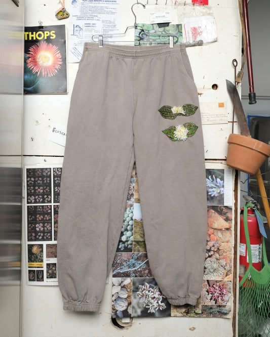 Massonia pustulata (2XL) Sweatpants