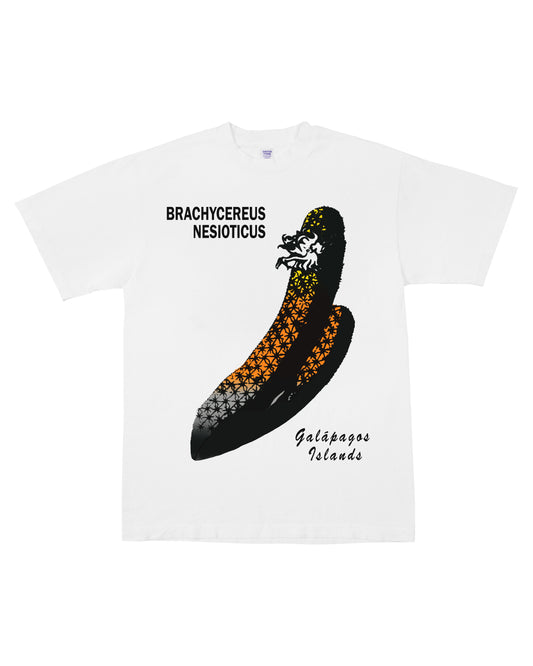 Gift Shop Shirt: Galapagos