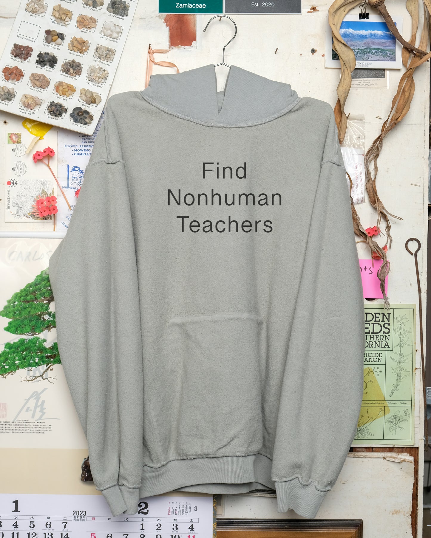 Find Nonhuman Teachers 2: Butterfly Sweatshirt (Sage)