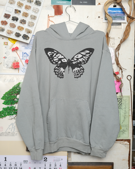 Find Nonhuman Teachers 2: Butterfly Sweatshirt (Sage)