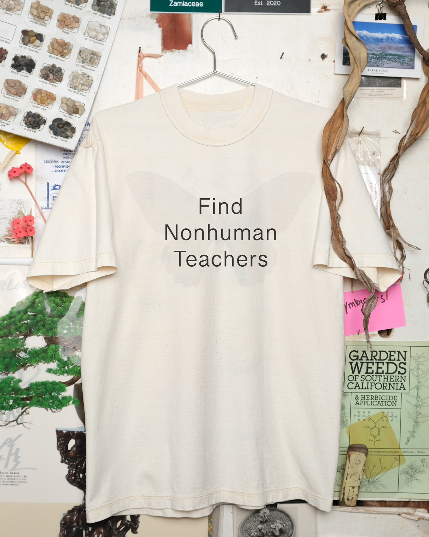 Find Nonhuman Teachers 2: Butterfly Shirt