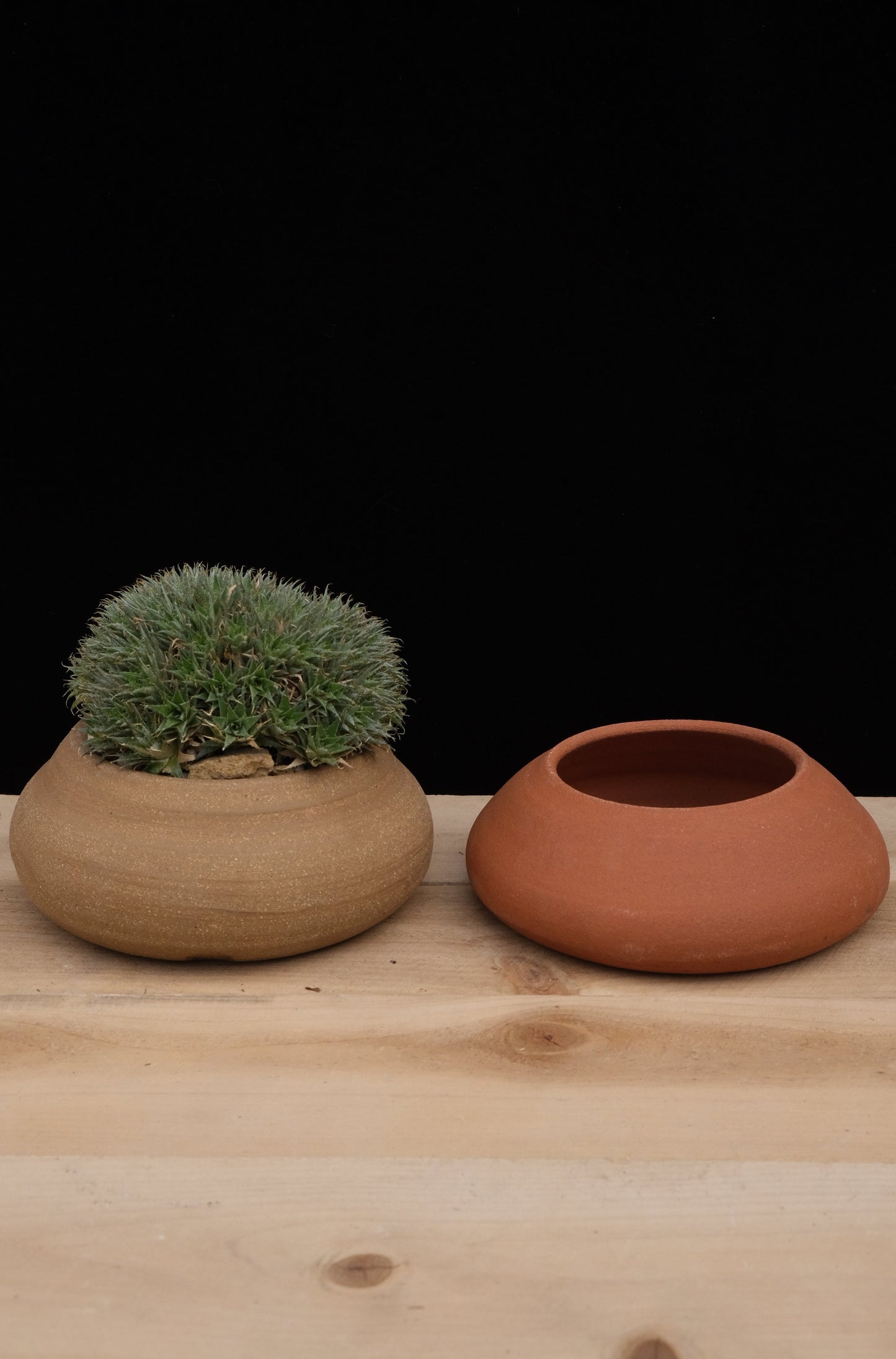Cow Pie Pot