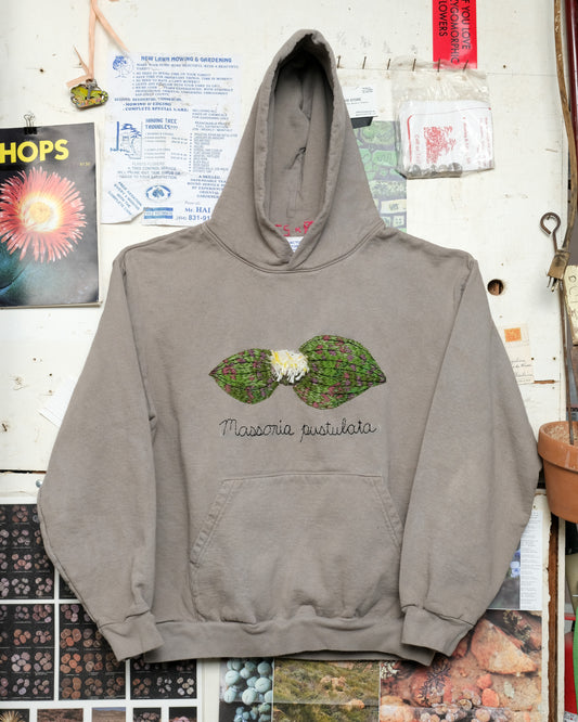 Massonia pustulata (L) Hooded Sweatshirt