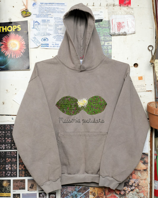 Massonia pustulata (2XL) Hooded Sweatshirt