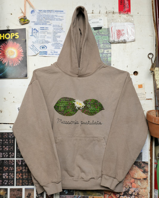 Massonia pustulata (XL) Hooded Sweatshirt