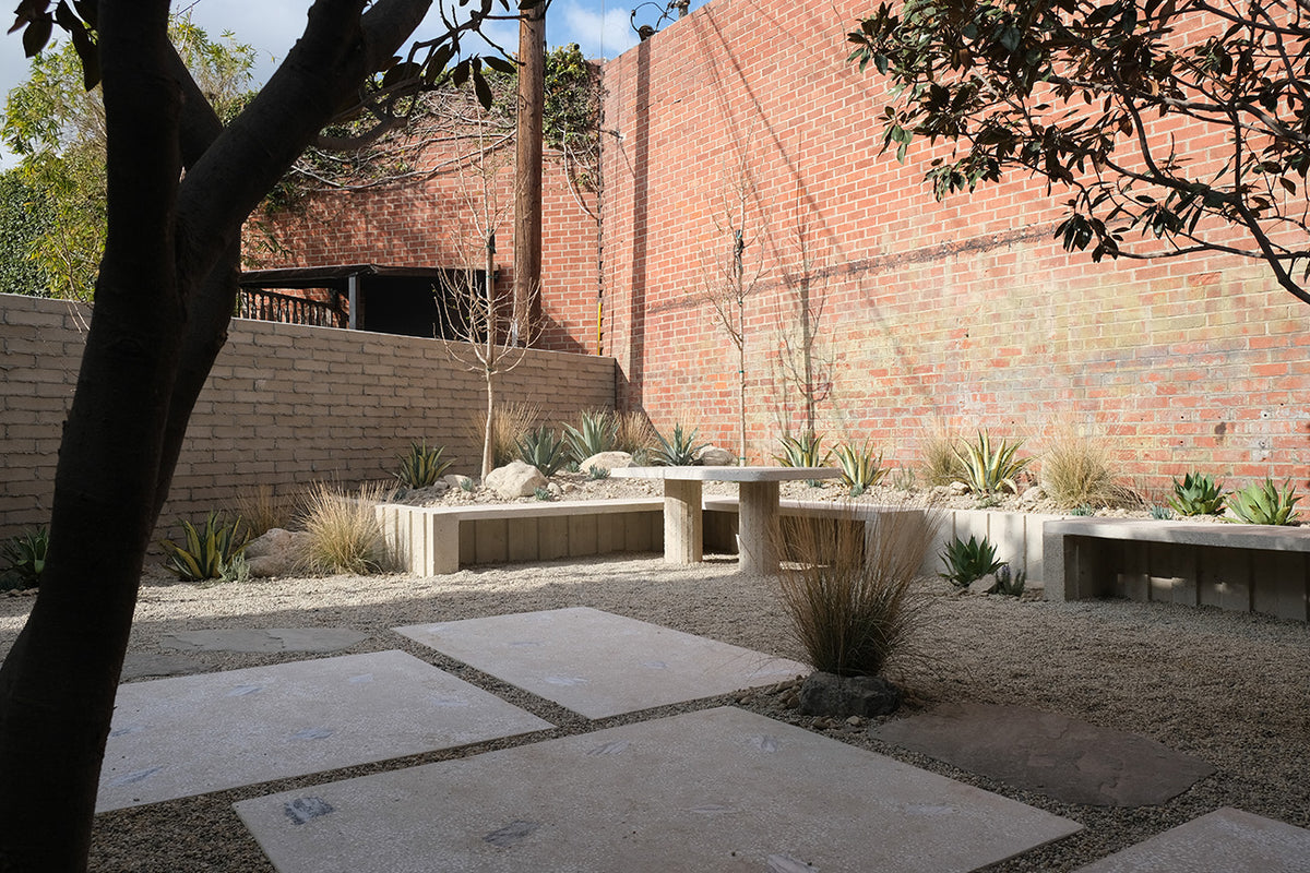 5860 Adams Blvd. – Cactaceae Storeiencius