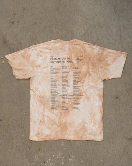 Repotted Echo Park shirt