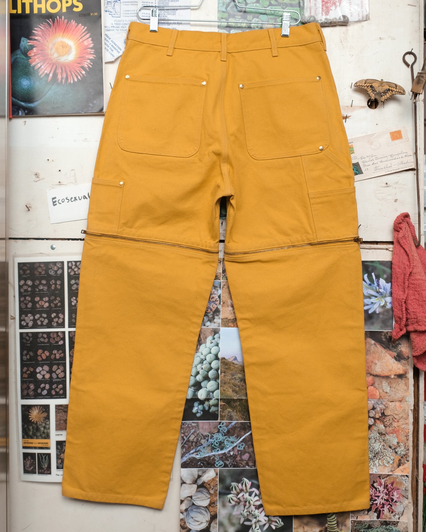 C.S. Peek-a-Boo Pants (Mustard )