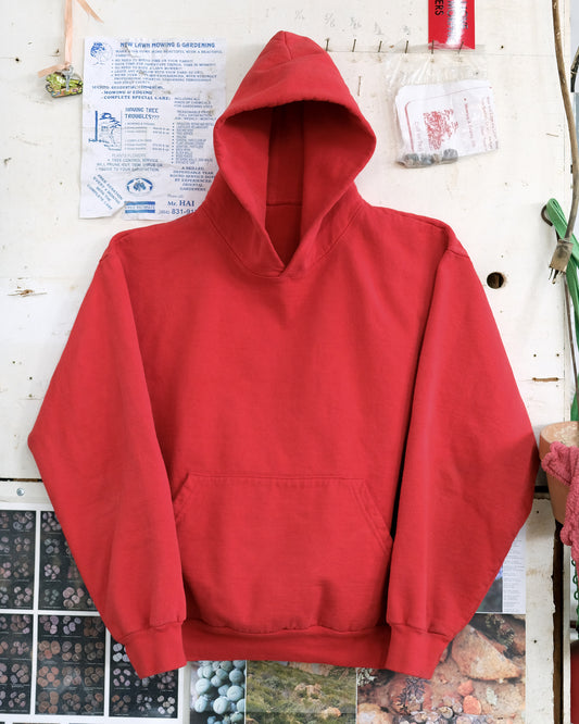 Astrophytum myriostigma Sweatshirt