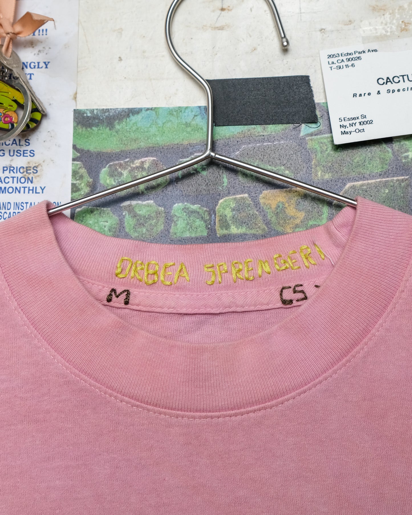 Orbea sprengeri (M) Shirt