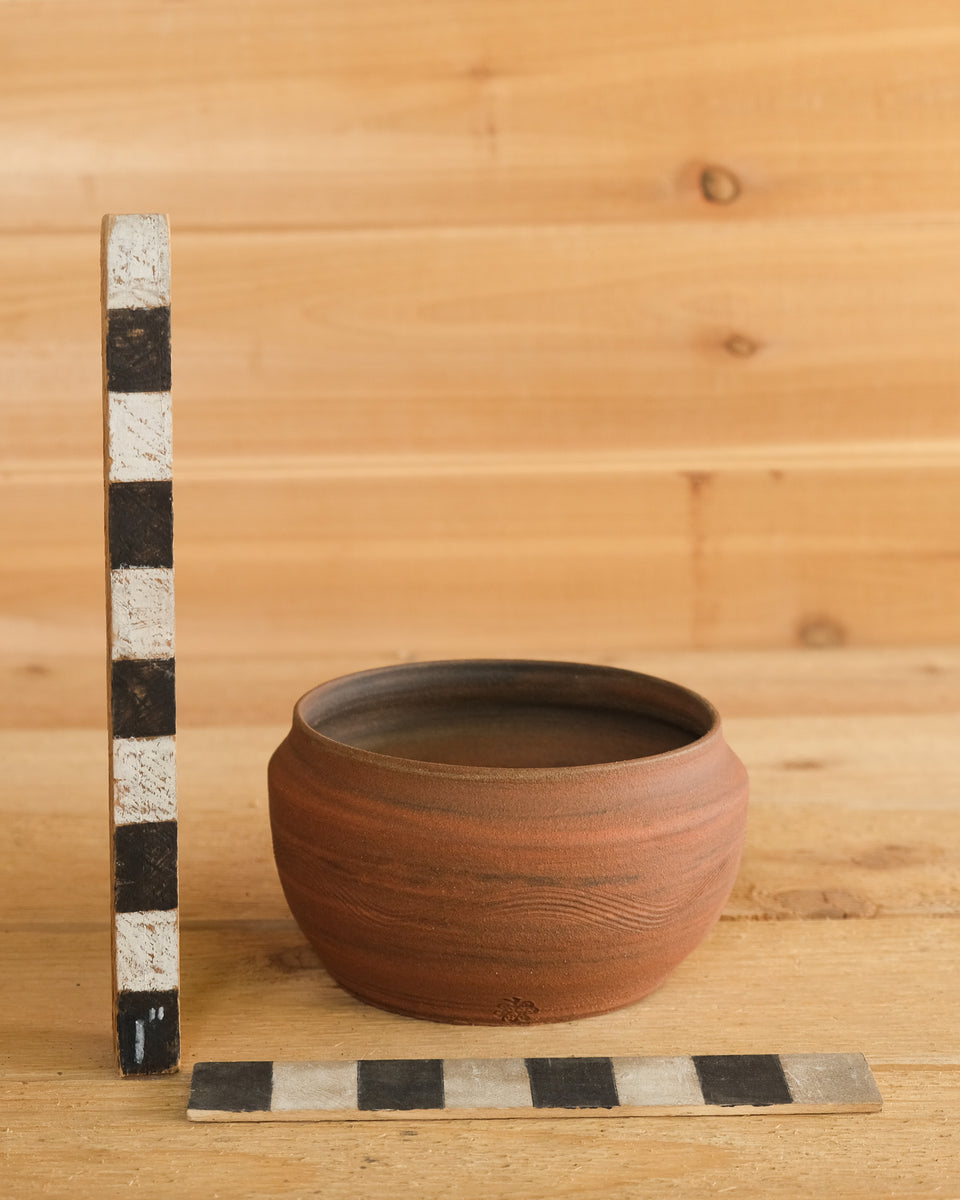 B151 – Cactaceae Storeiencius