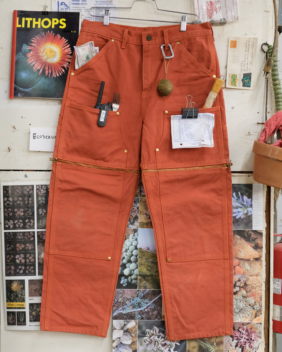 C.S. Peek-a-Boo Pants (Mars) – Cactaceae Storeiencius