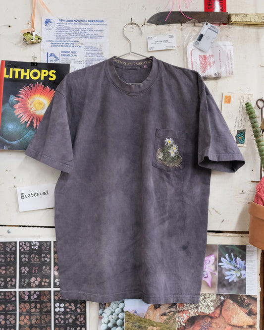 Conophytum truncatum (L) Shirt