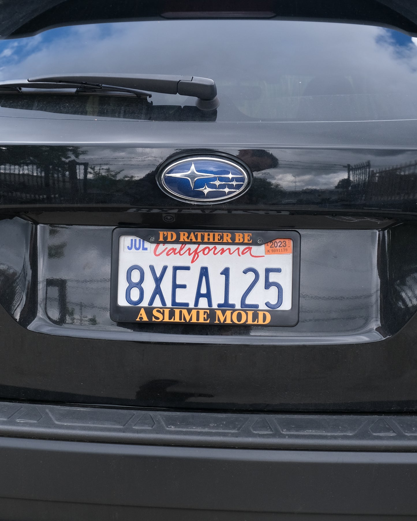 License Plate Frame 2: Slime Mold