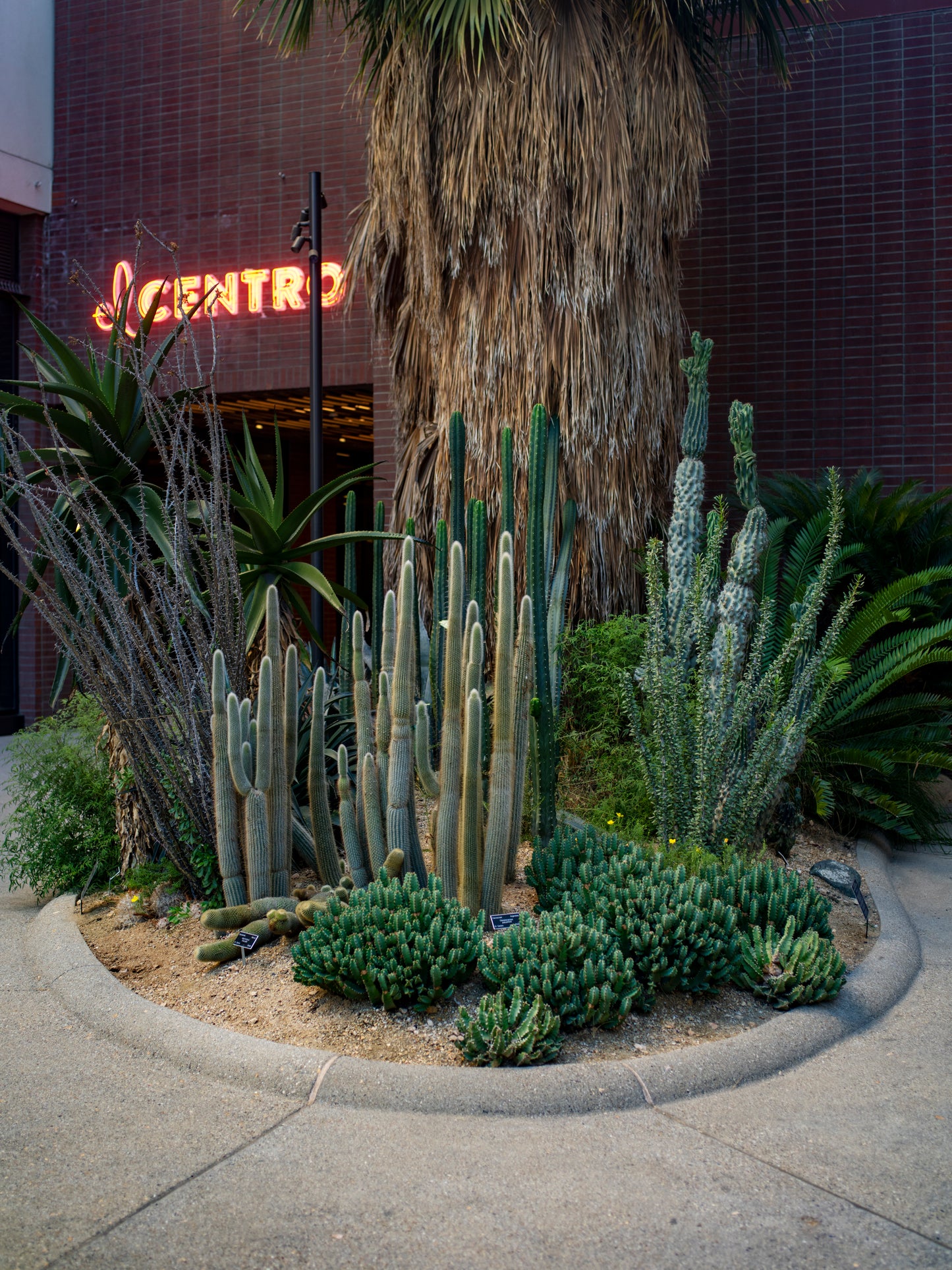 El Centro Gardens