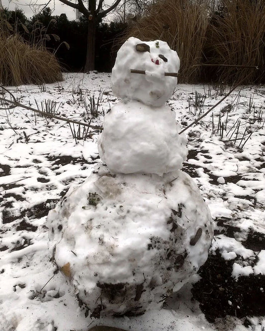 Melting Snowman 16/17