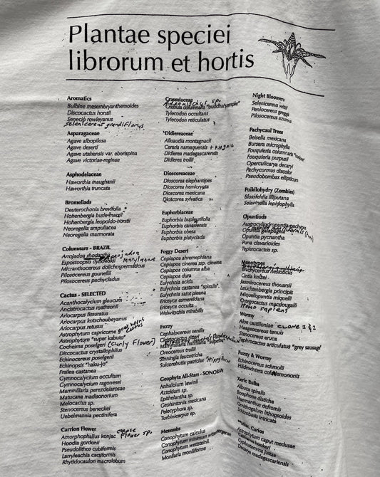 Repotted Echo Park Shirt