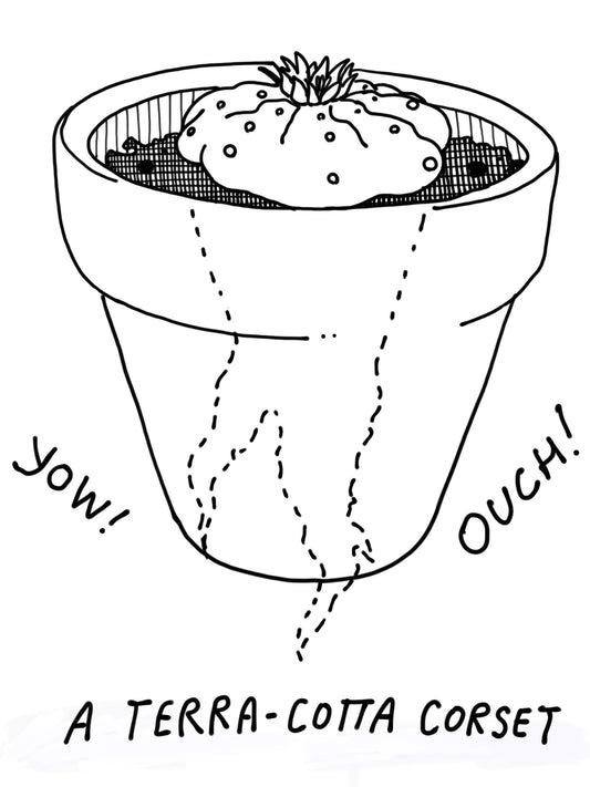 Peyote Pot by Hamilton Morris