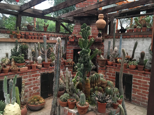 Altadena Greenhouse
