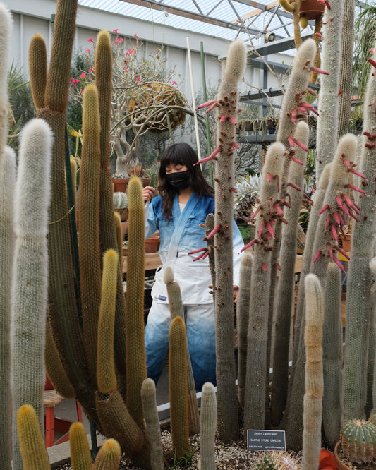 Garden Gi (Indigo Dip by Misa Chhan)