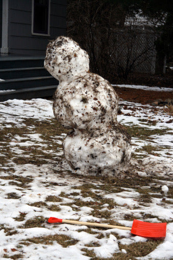 Melting Snowman 8/17