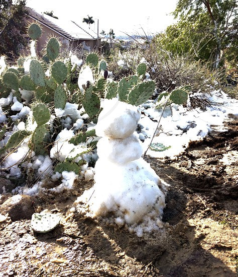 Melting Snowman 9/17