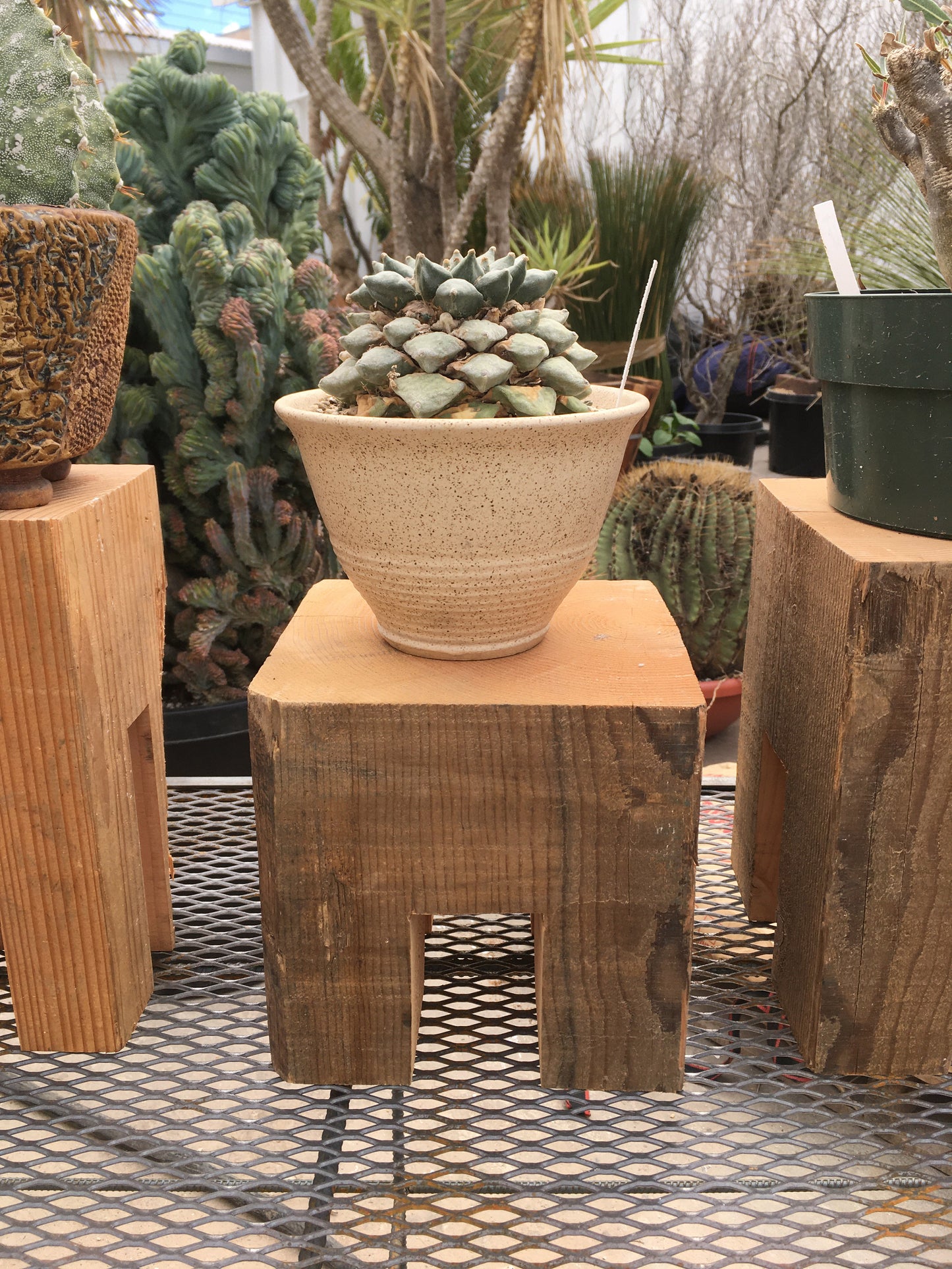 CS Plant Stand