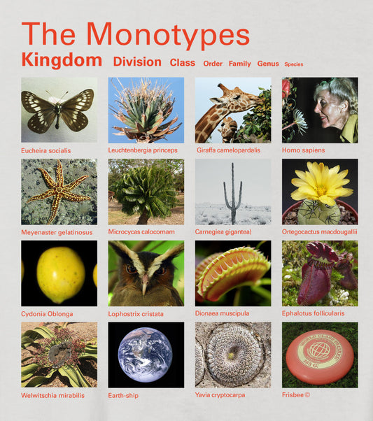 Taxa Shirt 10: The Monotypes