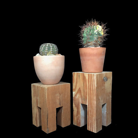 Plant Stand